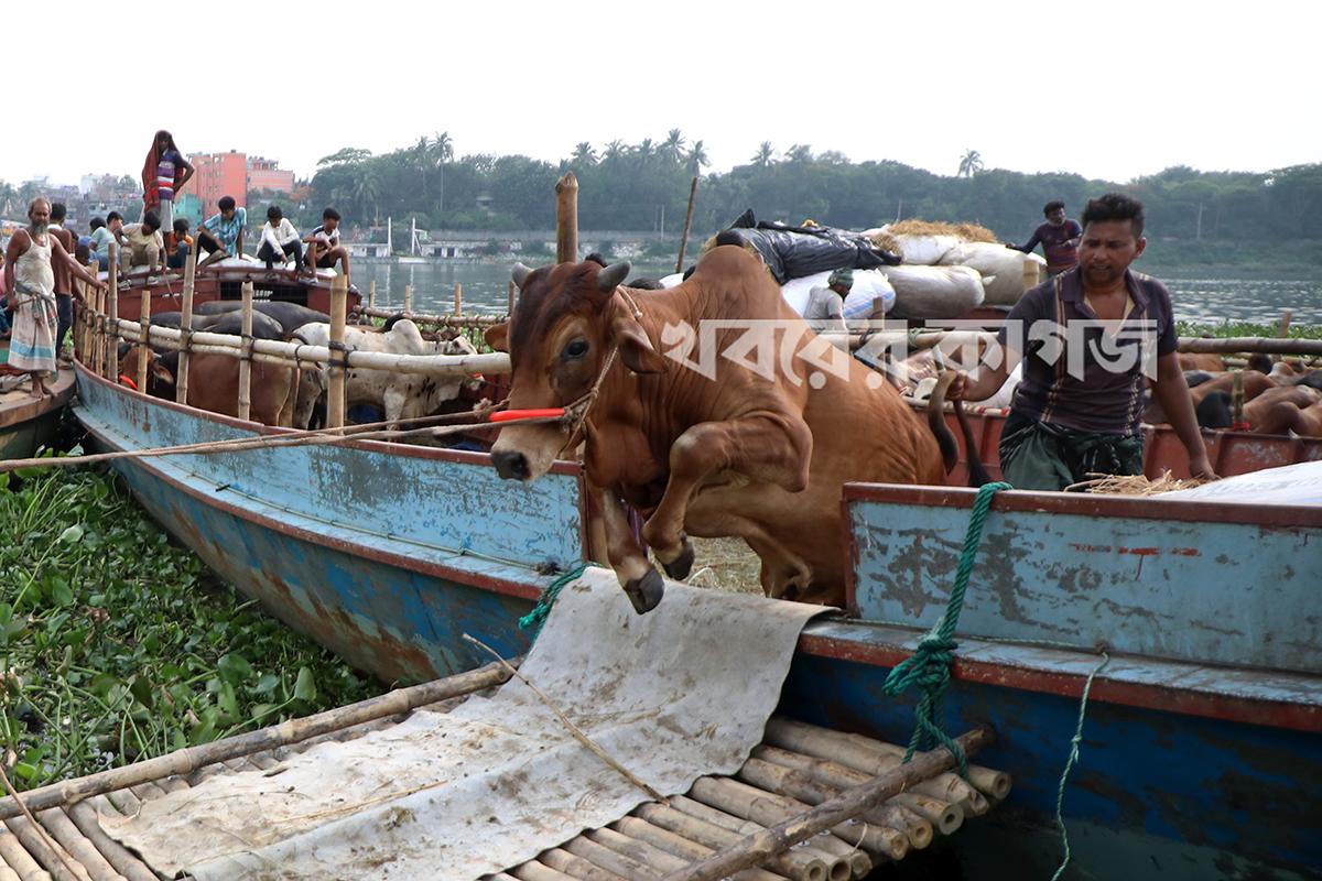 বাংলাদেশ মেডিকেল বিশ্ববিদ্যালয়ের স্টাফ কোয়ার্টার